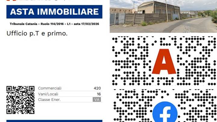 Tribunale Catania - Ruolo 114/2016 - L1 - asta 17/02/2026