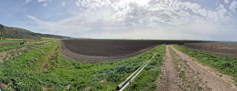 Foto1