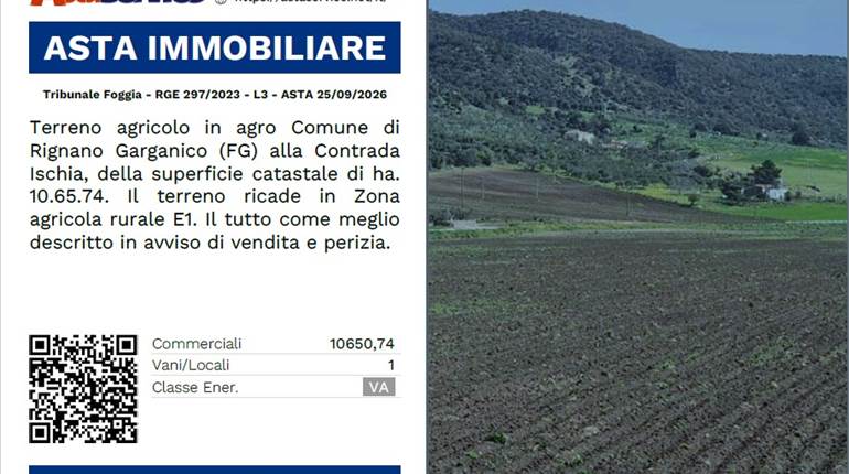 Tribunale Foggia - RGE 297/2023 - L3 - ASTA 25/09/2026