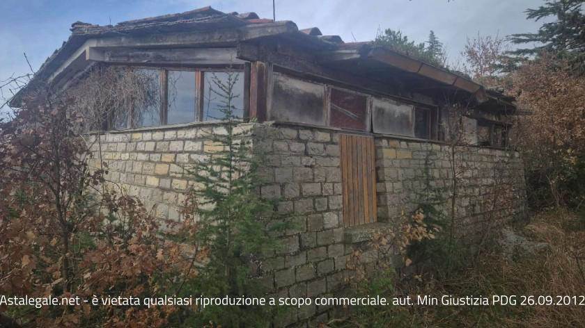 Foto1