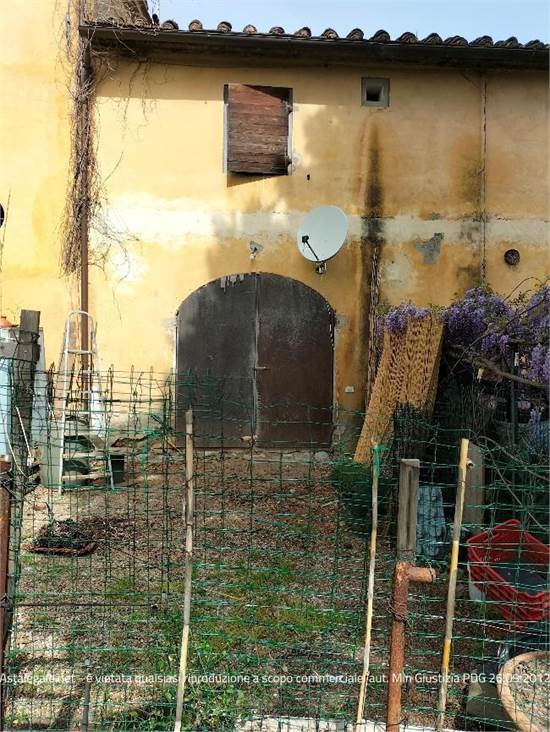 Foto1