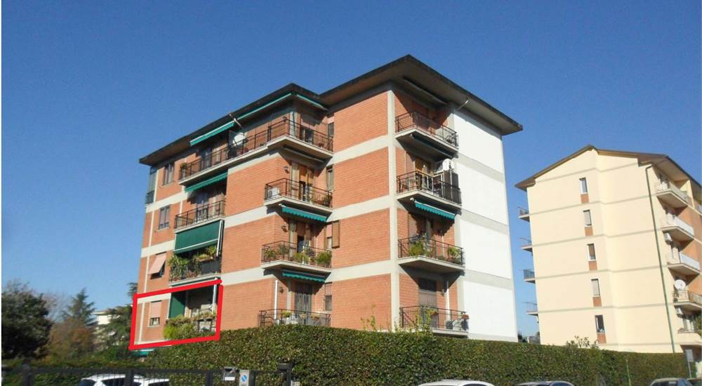 Foto1